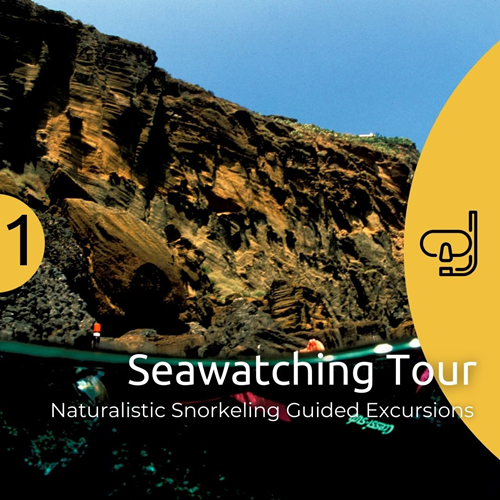 Ustica Naturalistic Seawatching Tour